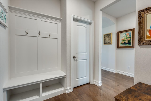 mudroom featuring dark wood-type flooring