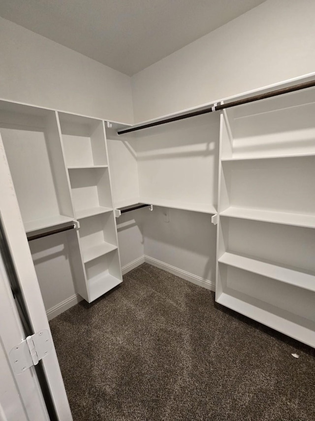 walk in closet featuring dark carpet