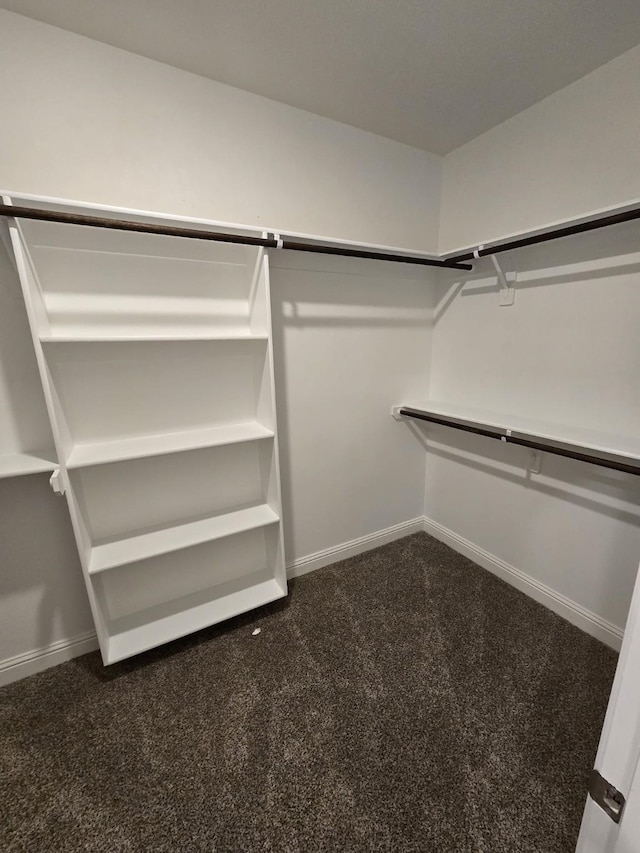 walk in closet with dark carpet