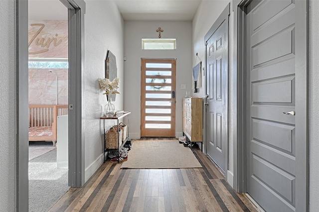 doorway to outside featuring a healthy amount of sunlight and dark hardwood / wood-style flooring