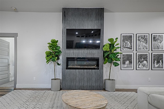 living room featuring a fireplace and wood-type flooring