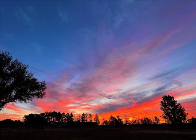 view of nature at dusk