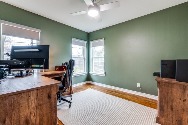 bedroom featuring hardwood / wood-style flooring and ceiling fan