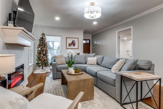 living room featuring hardwood / wood-style floors and crown molding