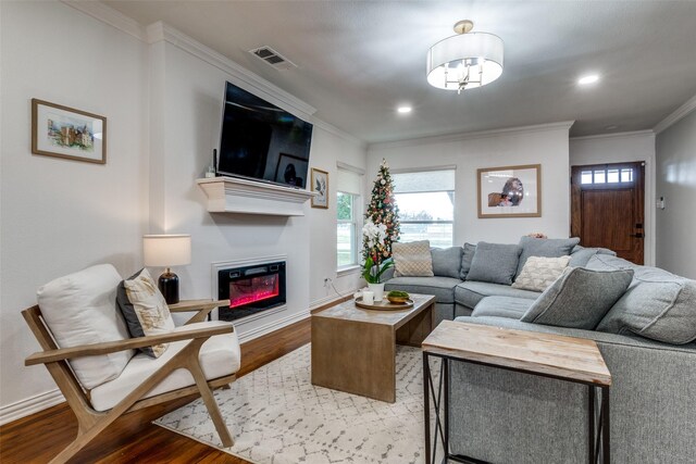 living room featuring dark hardwood / wood-style floors and ornamental molding