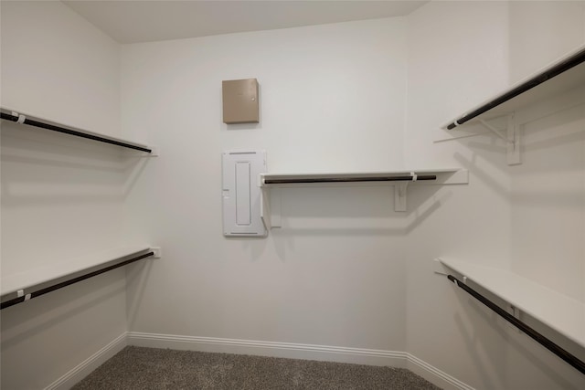 spacious closet featuring carpet flooring