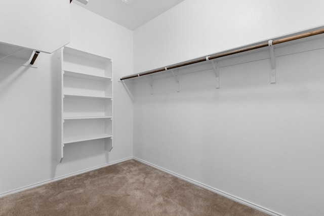 spacious closet featuring light colored carpet