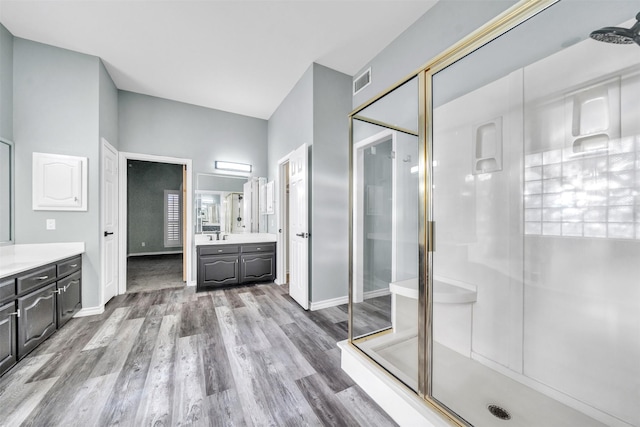 bathroom featuring a shower with door, vanity, and wood-type flooring