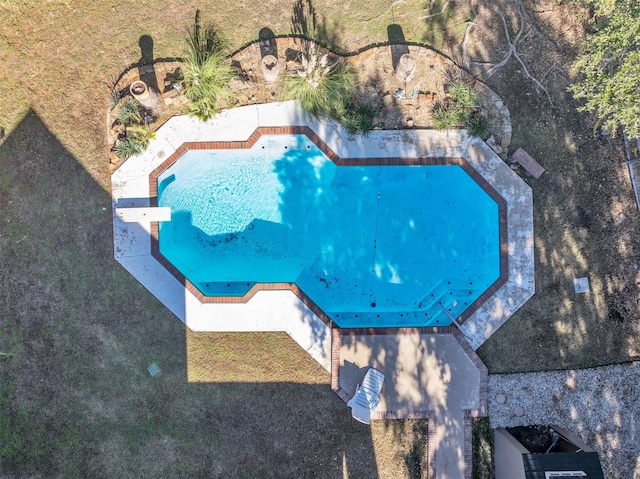 view of swimming pool featuring a lawn