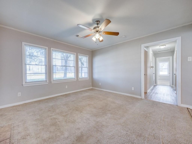 carpeted spare room featuring ceiling fan and ornamental molding