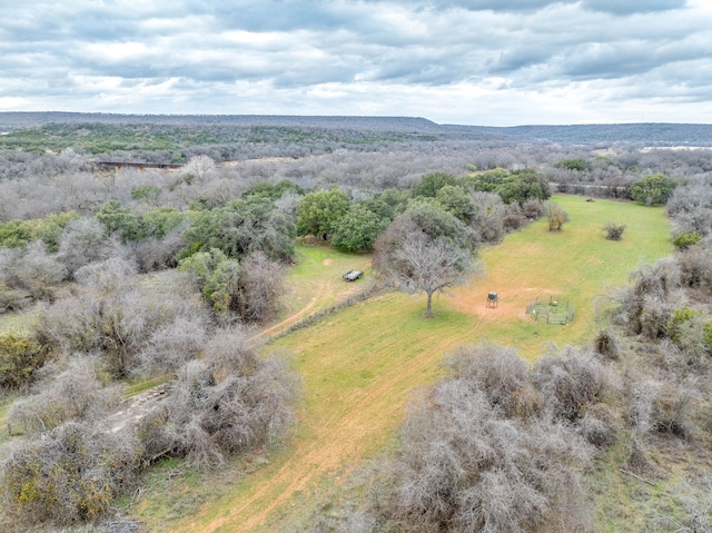 drone / aerial view featuring a rural view