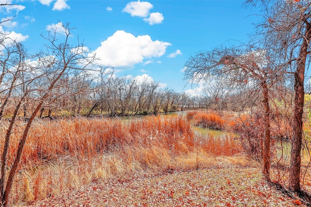 view of local wilderness