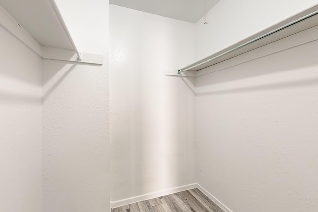 spacious closet with wood-type flooring