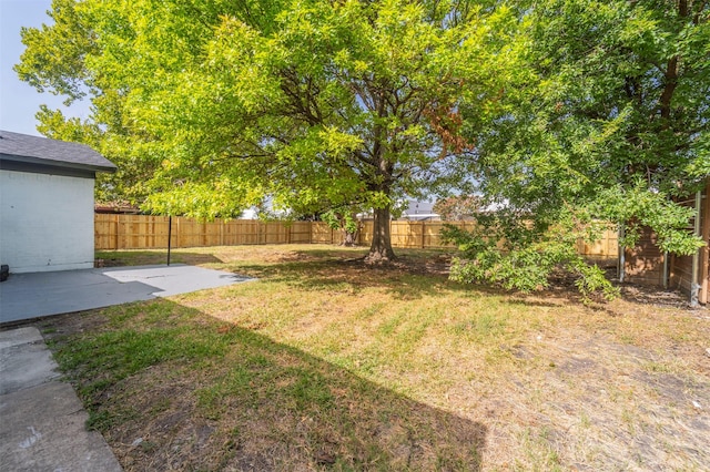 view of yard with a patio area