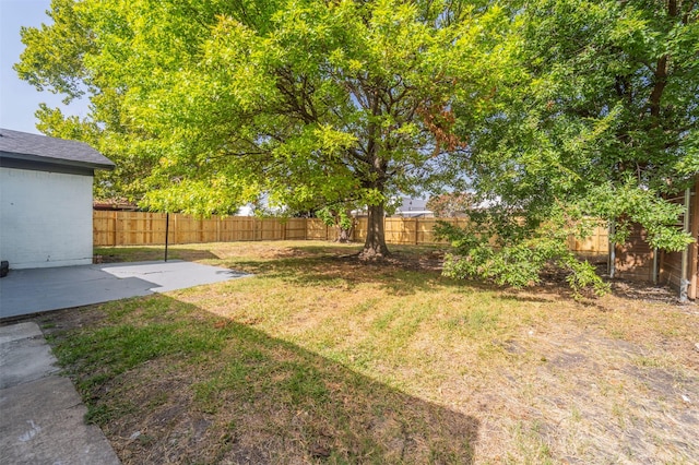 view of yard with a patio area and a fenced backyard