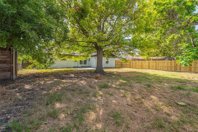 view of yard featuring a patio area