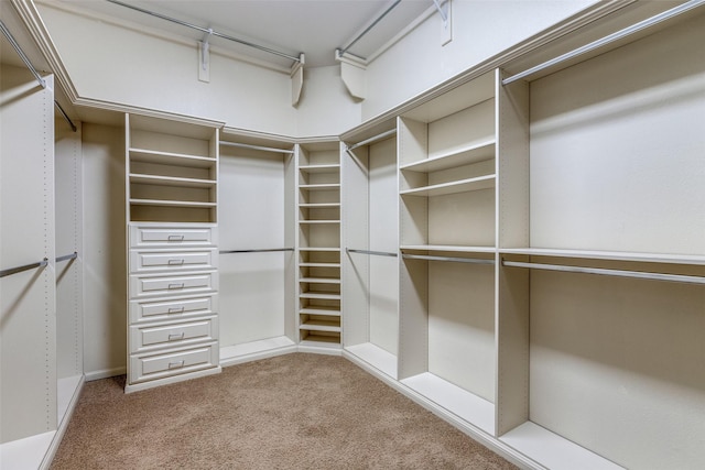 spacious closet with carpet