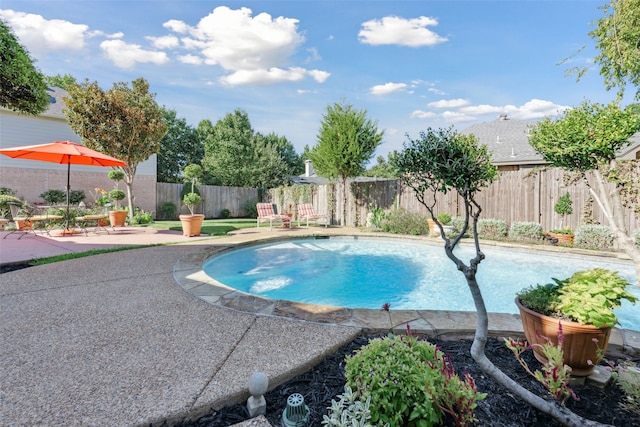 view of swimming pool with a patio