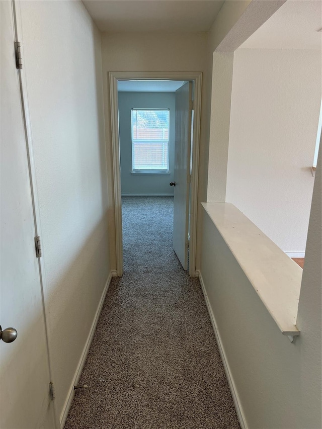 corridor with carpet flooring