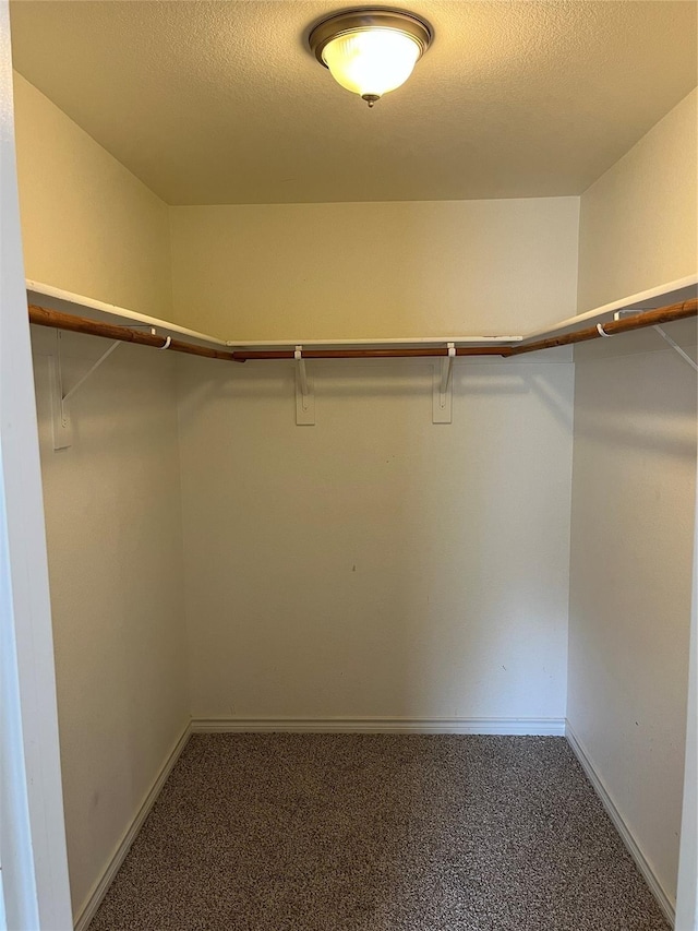 walk in closet with carpet