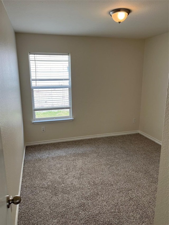 spare room with carpet