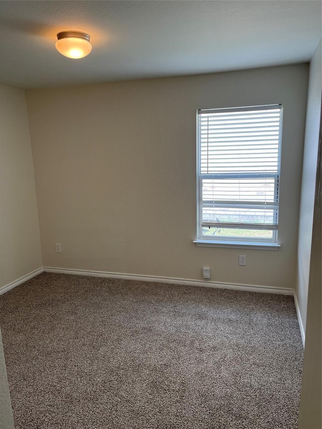 empty room featuring carpet