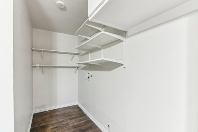 spacious closet featuring dark hardwood / wood-style floors