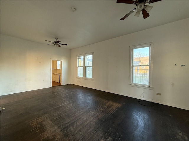 empty room with ceiling fan and dark hardwood / wood-style floors