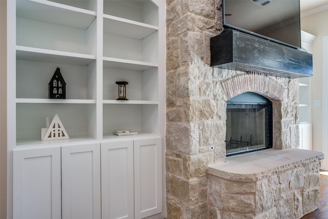 room details featuring a stone fireplace and built in features