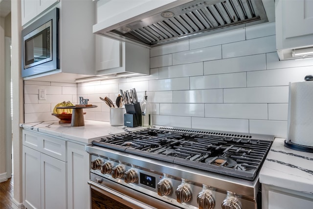 kitchen with decorative backsplash, premium range hood, white cabinetry, and stainless steel appliances