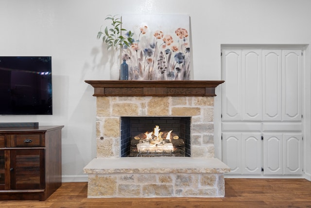 living room with a stone fireplace and wood-type flooring