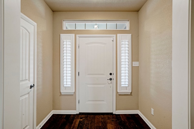 entrance foyer with a healthy amount of sunlight and dark hardwood / wood-style flooring