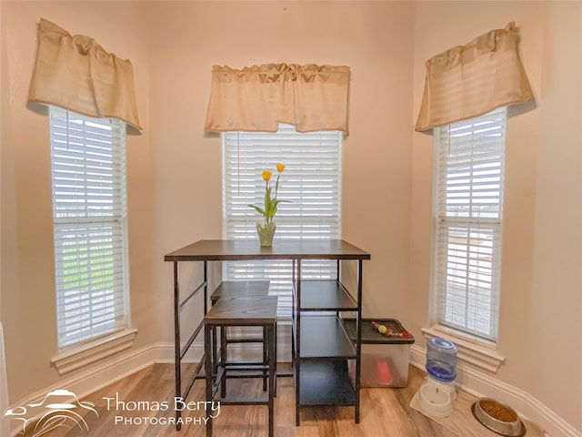 dining room with hardwood / wood-style floors and a wealth of natural light