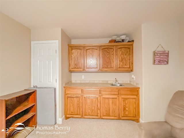 kitchen with sink and light colored carpet