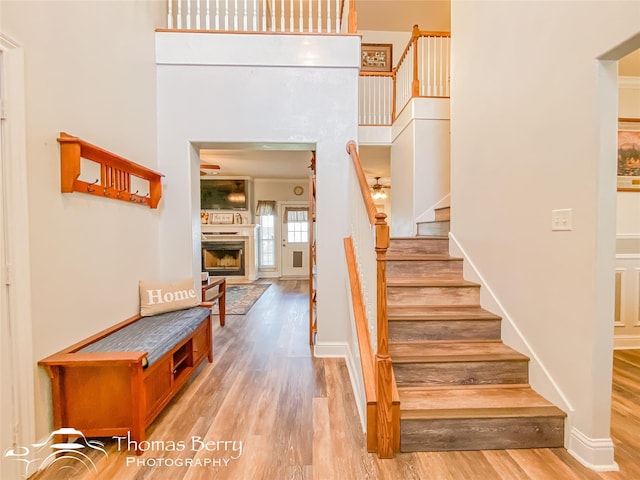 stairway with a towering ceiling and wood-type flooring