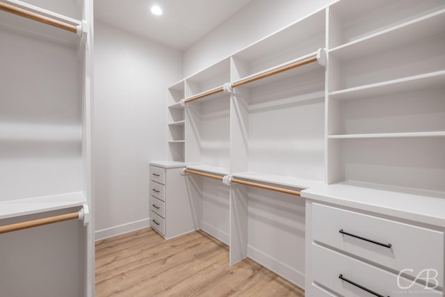 spacious closet with light wood-type flooring