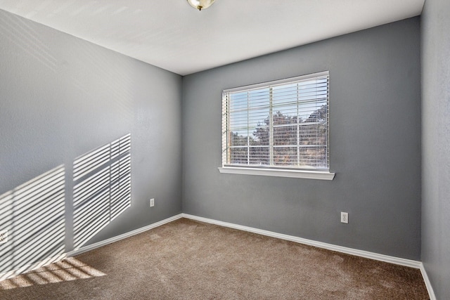 spare room with carpet flooring