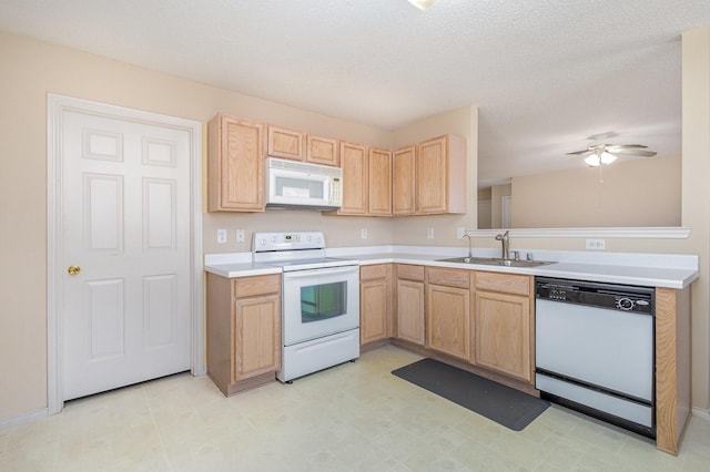 kitchen featuring sink, white appliances, ceiling fan, a textured ceiling, and light brown cabinetry