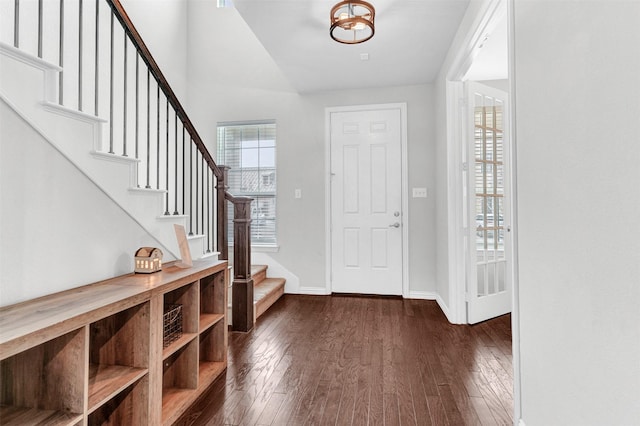 entryway featuring a wealth of natural light and dark wood-type flooring