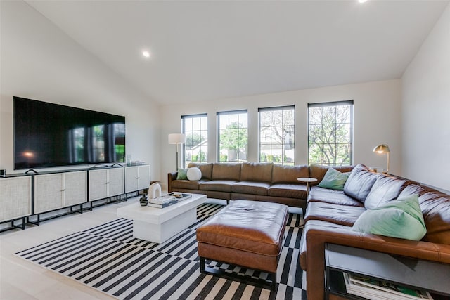 living room featuring high vaulted ceiling