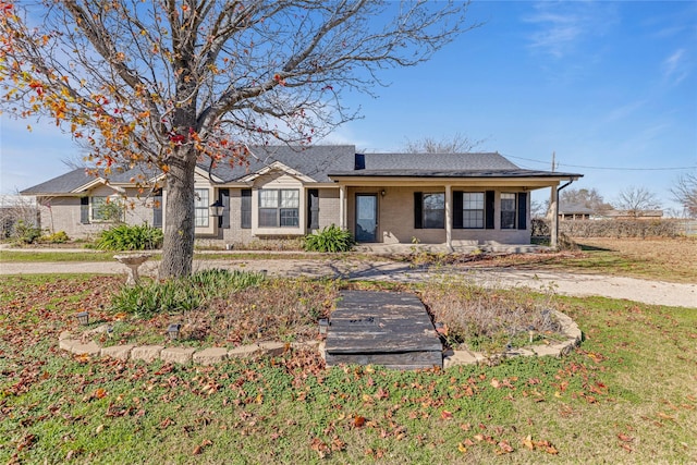 single story home featuring a front lawn