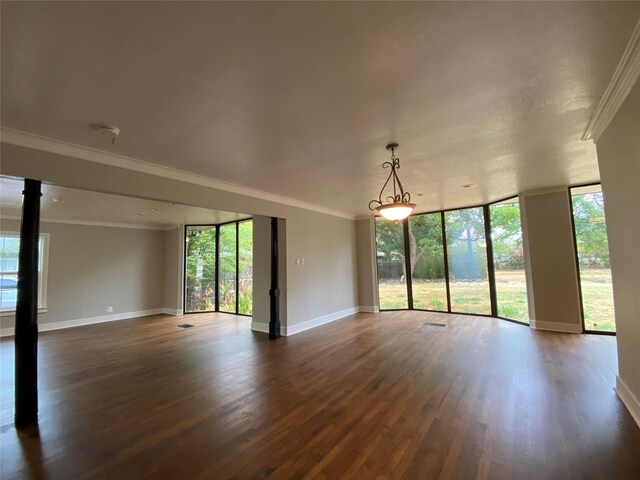 spare room featuring dark hardwood / wood-style flooring, a wall of windows, and crown molding