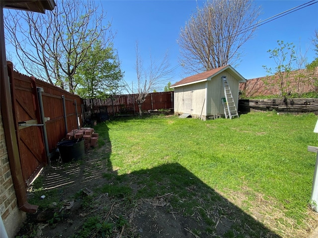 view of yard featuring a shed