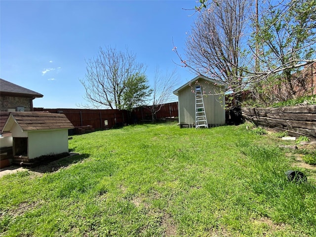 view of yard with a shed