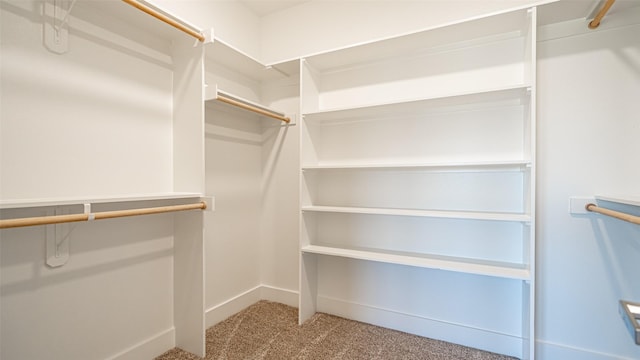 walk in closet with carpet flooring