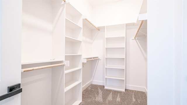 walk in closet with carpet