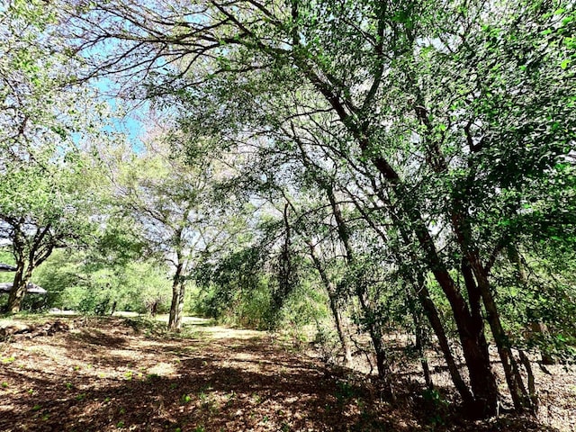 407 W Saunders St, Trenton, TX 75490 - view of nature