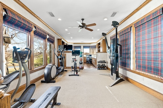 exercise room featuring carpet floors, crown molding, and ceiling fan