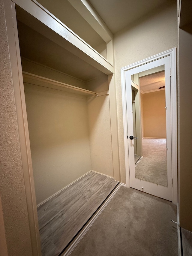 view of closet