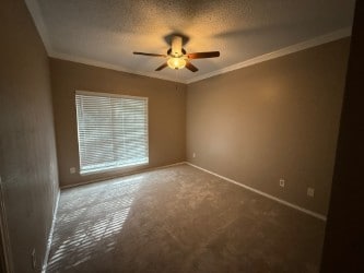 unfurnished room featuring crown molding, carpet, ceiling fan, and a textured ceiling